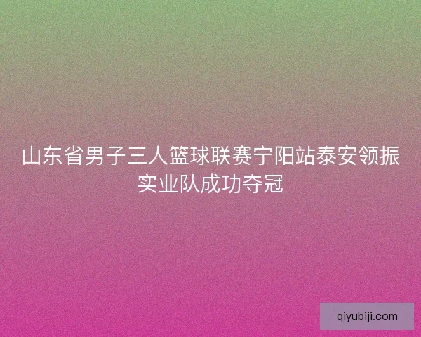 山东省男子三人篮球联赛宁阳站泰安领振实业队成功夺冠 山东省男子三人篮球联赛宁阳站泰安领振实业队成功夺冠